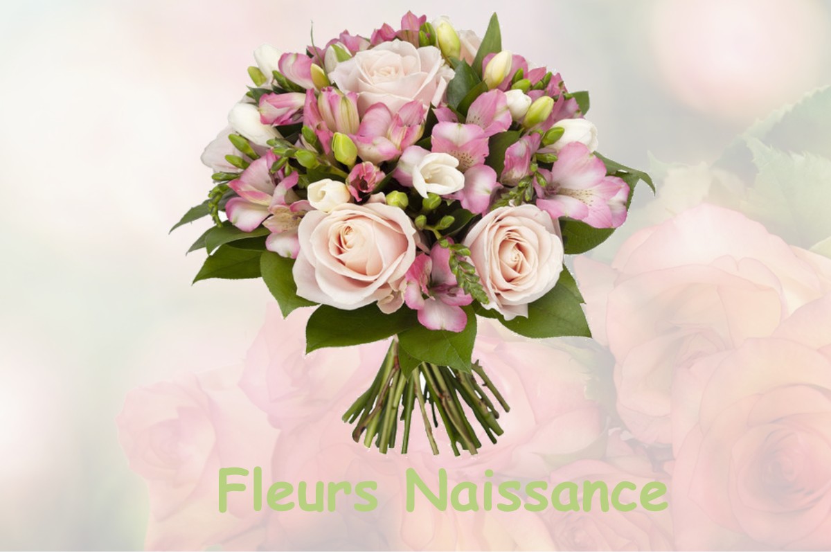 fleurs naissance NANTEUIL-AURIAC-DE-BOURZAC